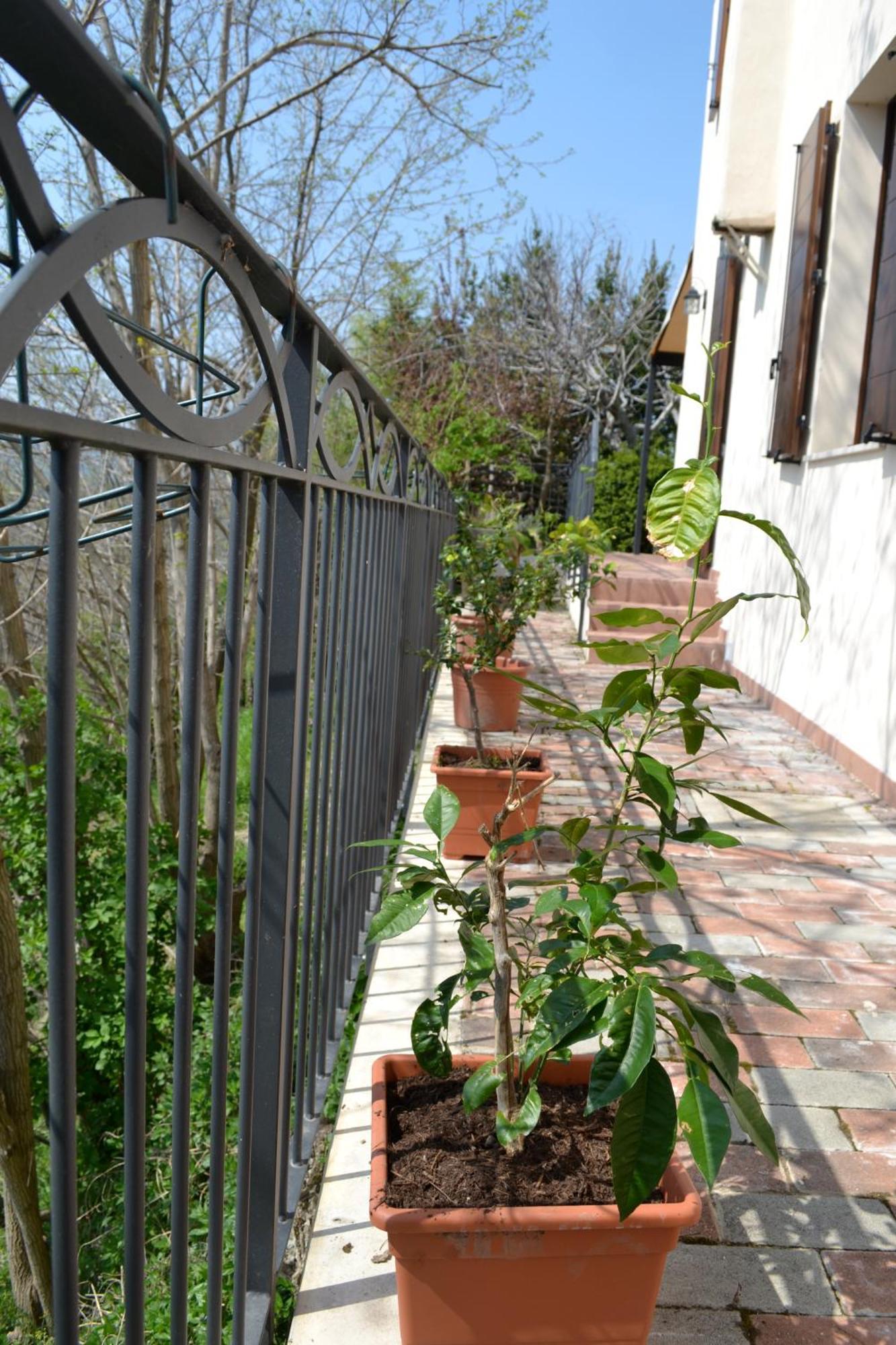B&B Ca Biocco Sogliano al Rubicone Екстер'єр фото