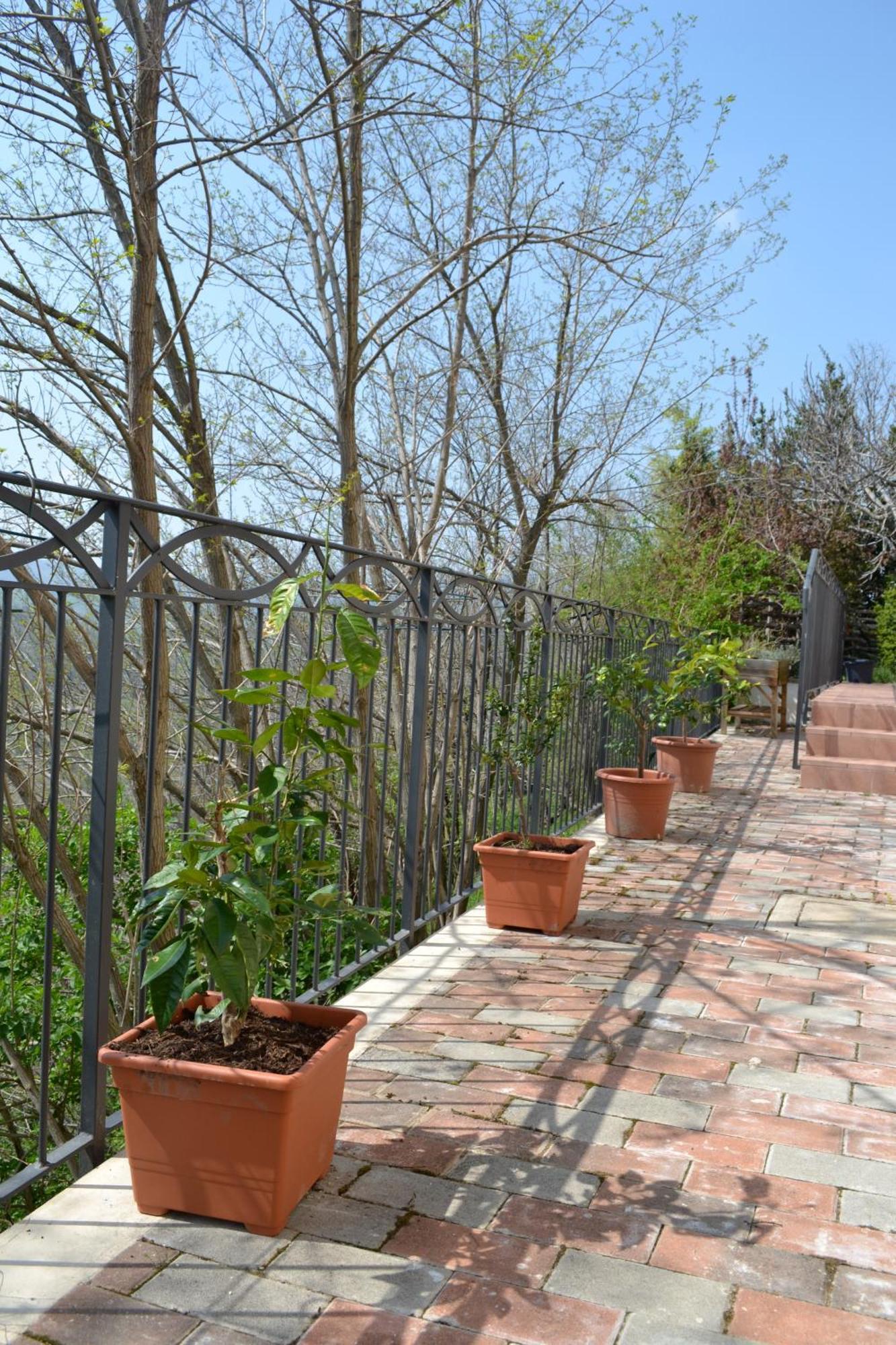 B&B Ca Biocco Sogliano al Rubicone Екстер'єр фото
