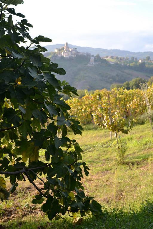 B&B Ca Biocco Sogliano al Rubicone Екстер'єр фото