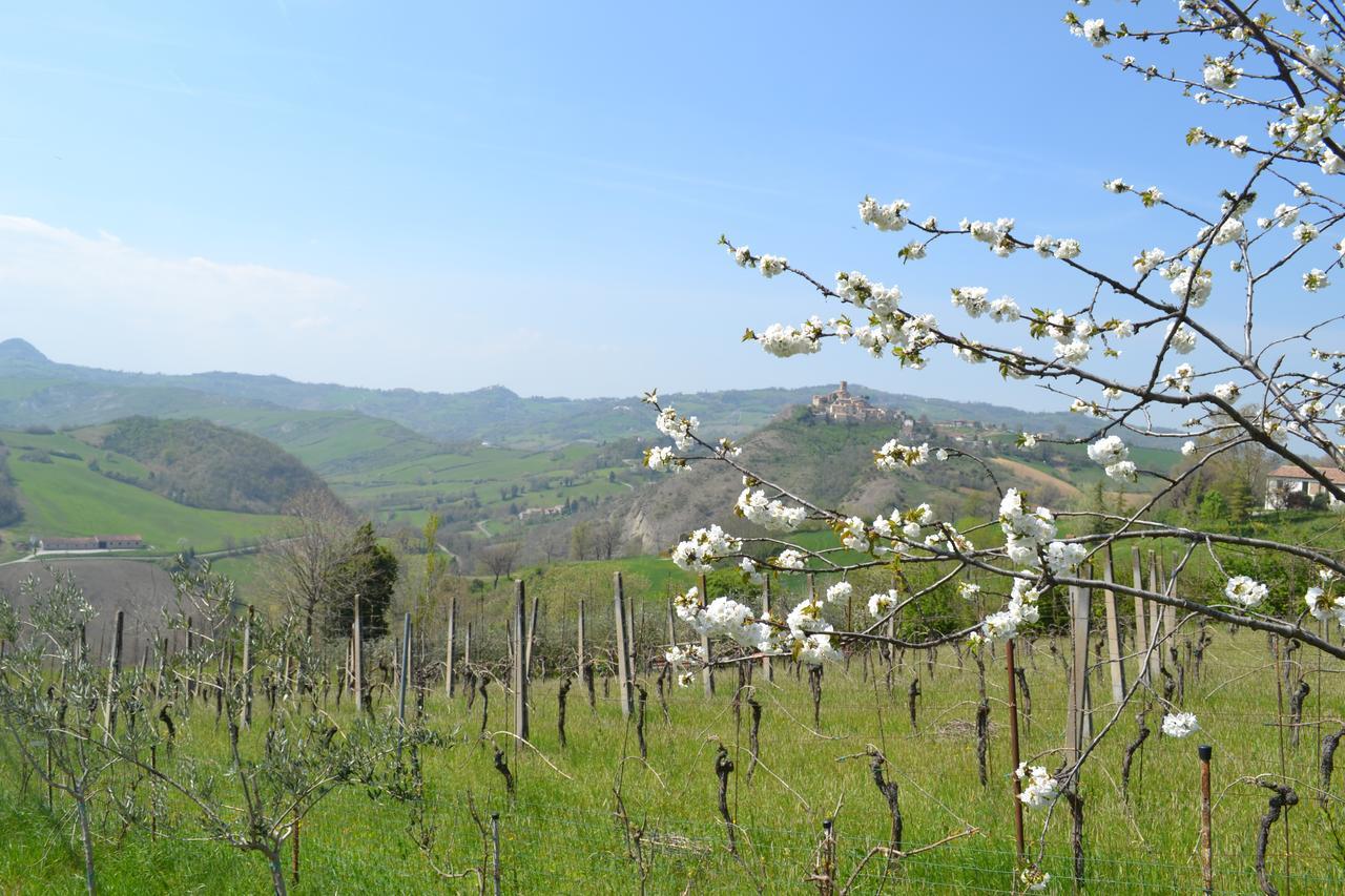 B&B Ca Biocco Sogliano al Rubicone Екстер'єр фото